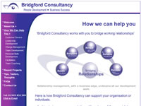 Bridgford Consultancy - Click to visit Bridgford Consultancy - Click to visit